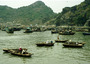 vietnam - cat ba island harbour 2.jpg